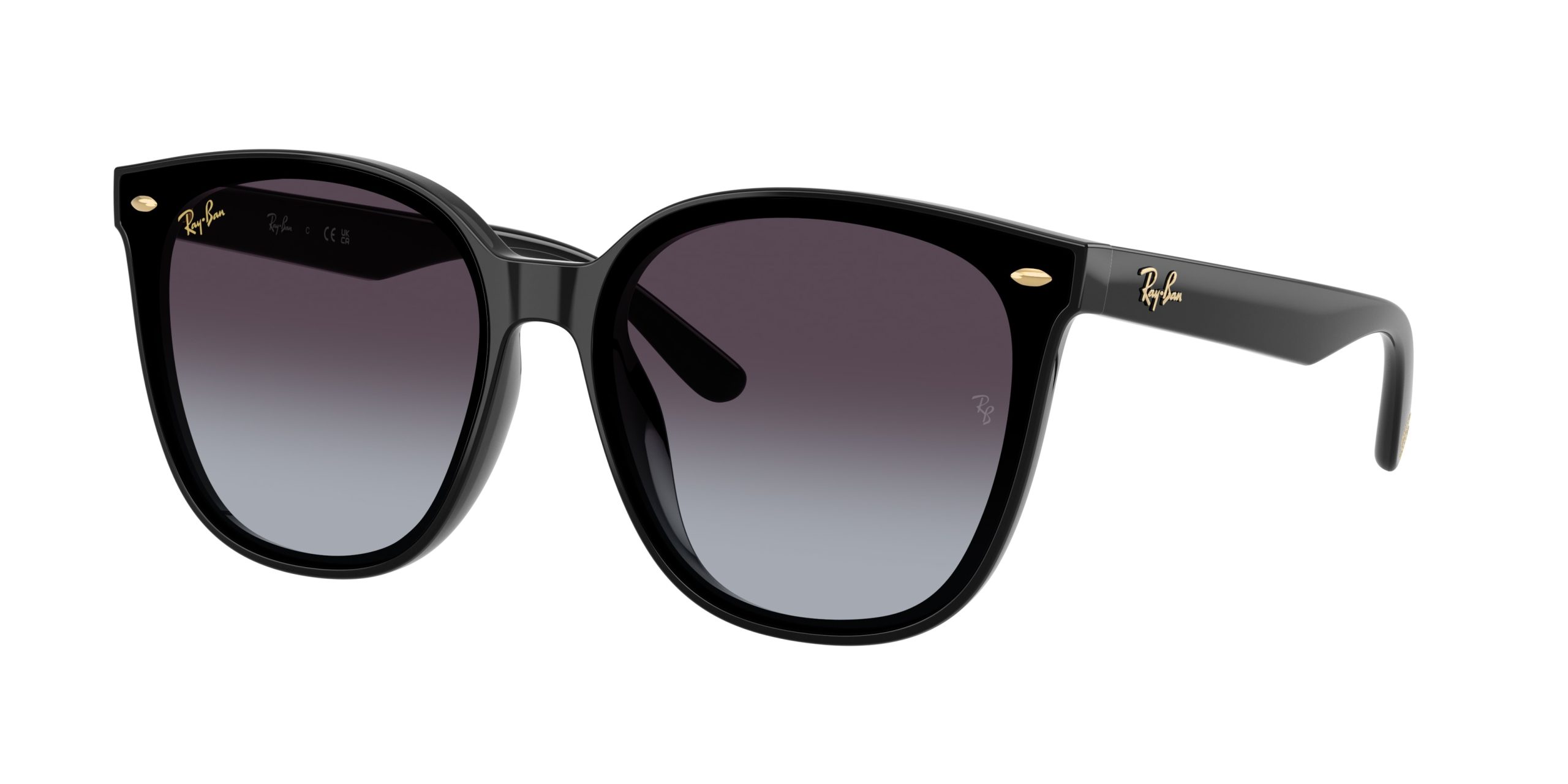 Ray-ban  RB4423D