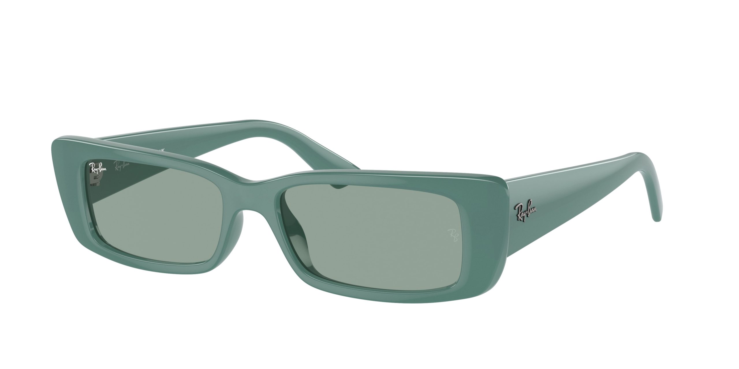 Ray-ban Teru RB4425F