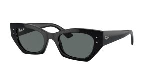 rayban_0rb4430_667781_black_polarized_ref