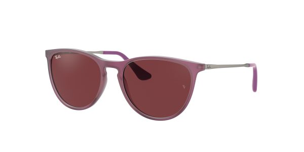 Ray-ban Junior Erika RJ9060S