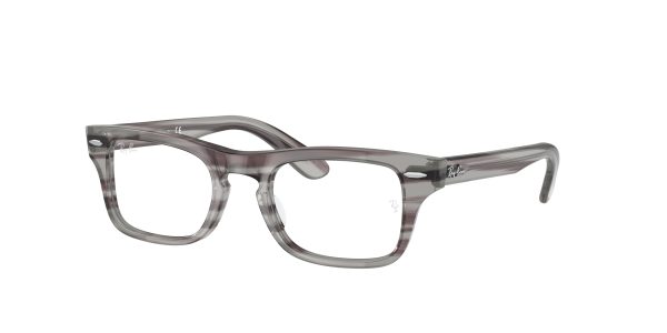 Ray-ban Junior Burbank RY9083V