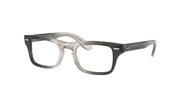 Ray-ban Junior Burbank RY9083V