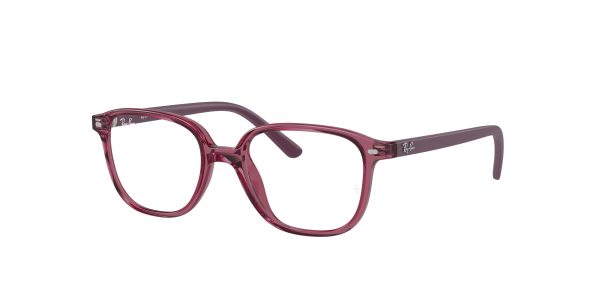 Ray-ban Junior Leonard RY9093V