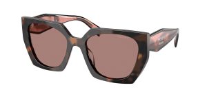 prada_0pr_15ws_23a60b_mauve_tortoise_ref