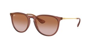 rayban_0rb4171_659013_transparent_light_brown_ref