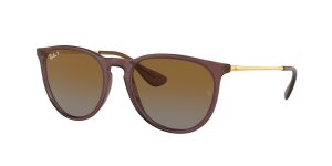 rayban_0rb4171_6593t5_transparent_dark_brown_polarized_ref