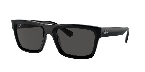 Ray-ban Warren RB4396F