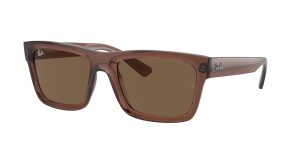 rayban_0rb4396f_667873_transparent_brown_ref