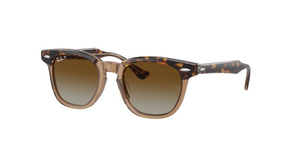 Ray-ban  RJ9098S