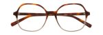 1246 Dark Tortoise Gray Gradient