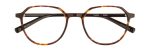 5006 Dark Tortoise