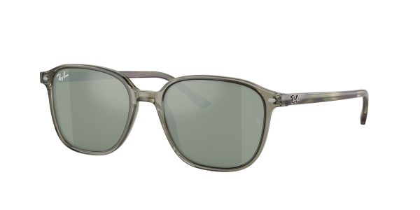 Ray-ban Leonard RB2193