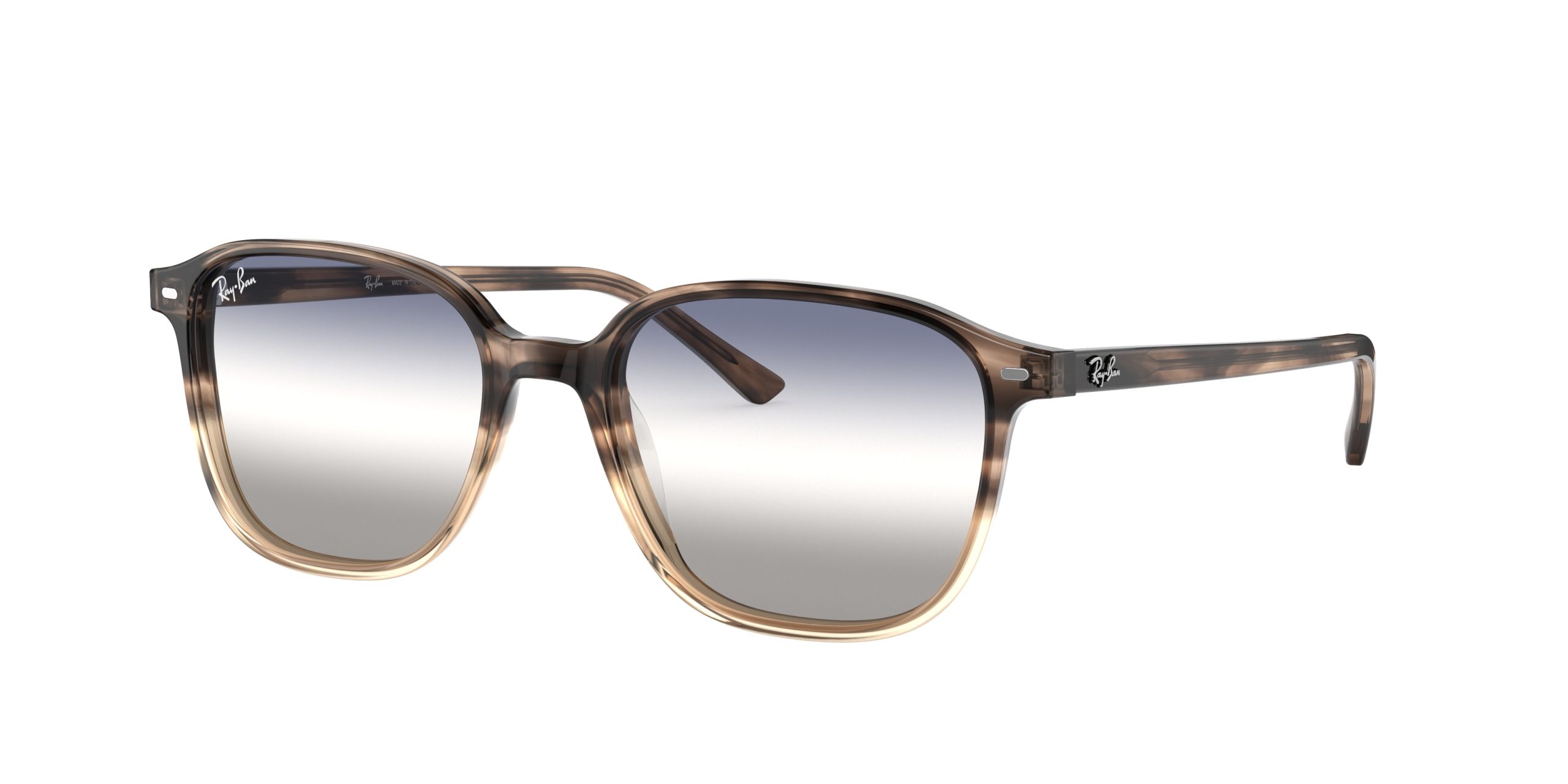 Ray-ban Leonard RB2193F