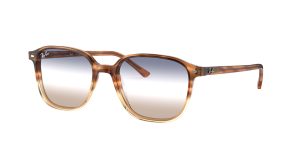 rayban_0rb2193f_1328gd_tortoise_ref