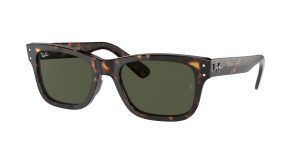 rayban_0rb2283f_902_31_havana_ref