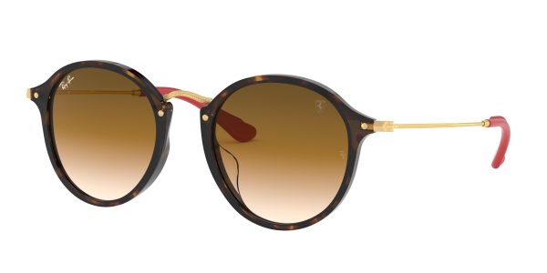 Ray-ban  RB2447MF