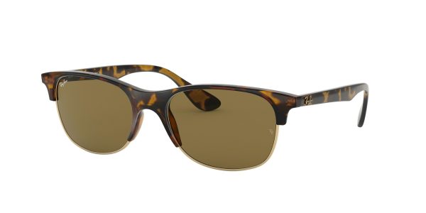 Ray-ban  RB4319