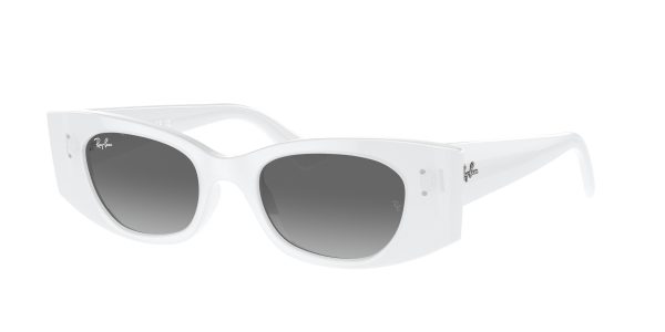 Ray-ban Kat RB4427