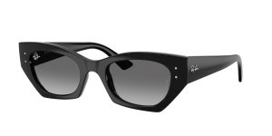 rayban_0rb4430_667711_black_ref