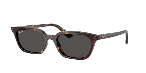 Ray-ban Zaya RB4456F