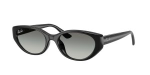rayban_0rb4457d_667711_black_ref