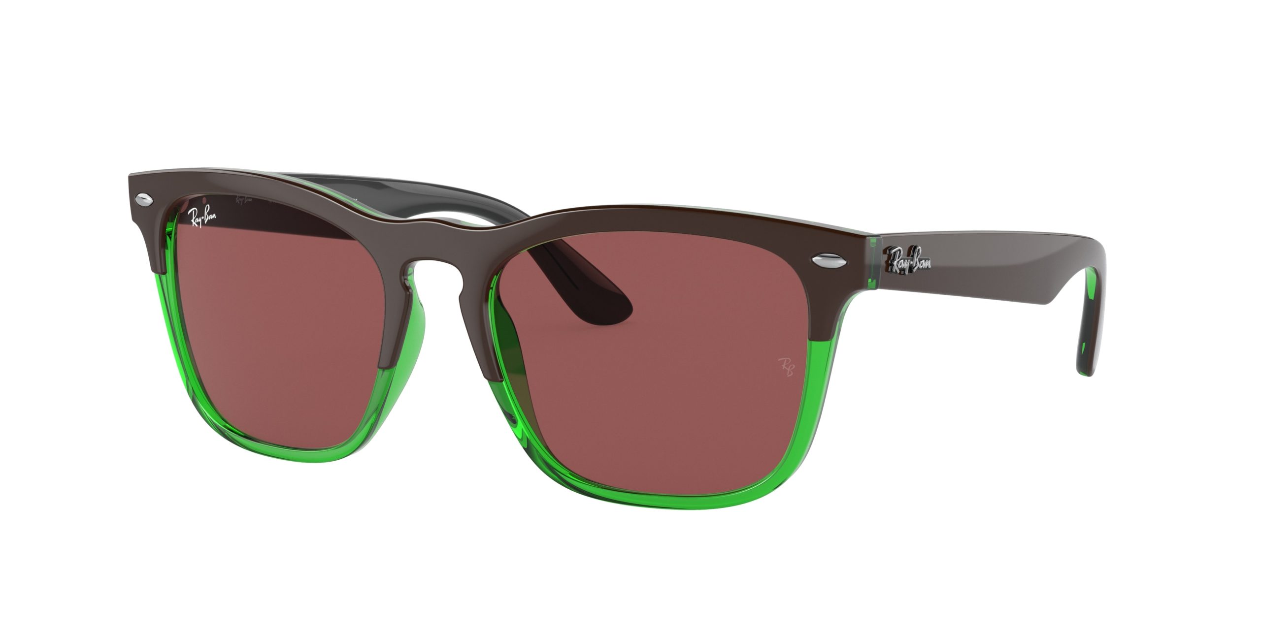 Ray-ban Steve RB4487
