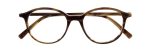 1149 Olive Tortoise