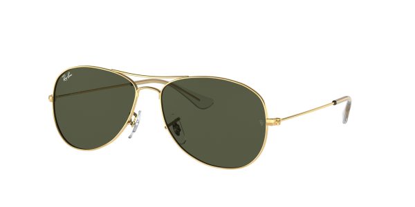 Ray-ban Cockpit RB3362
