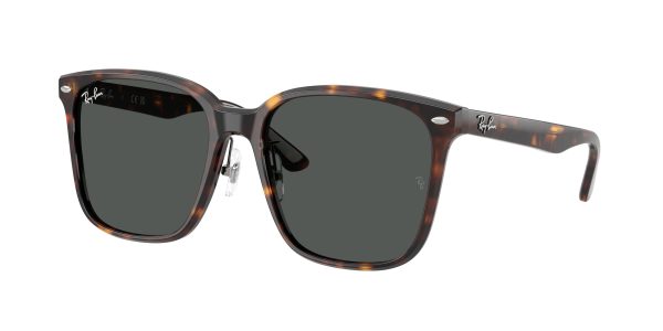 Ray-ban  RB2206D