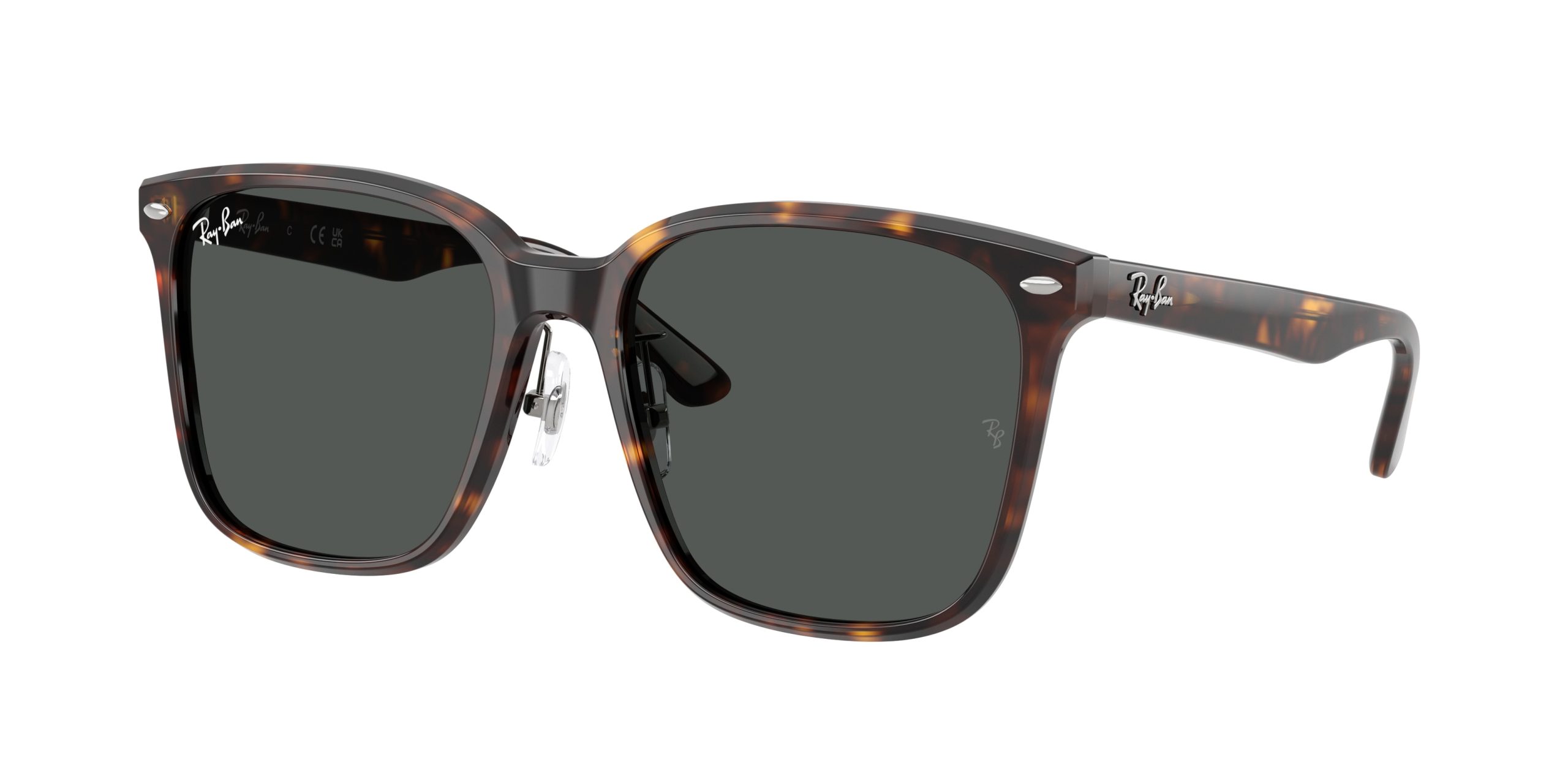 Ray-ban  RB2206D