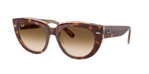rayban_0rb2286_141451_light_havana_on_transparent_multicolor_ref rayban_0rb2286_141451_light_havana_on_transparent_multicolor_ref