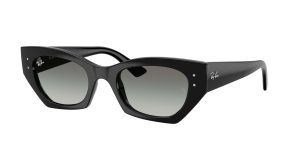 rayban_0rb4430_667711_black_ref