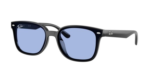 Ray-ban  RB4461D