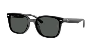 rayban_0rb4461d_601_87_black_ref