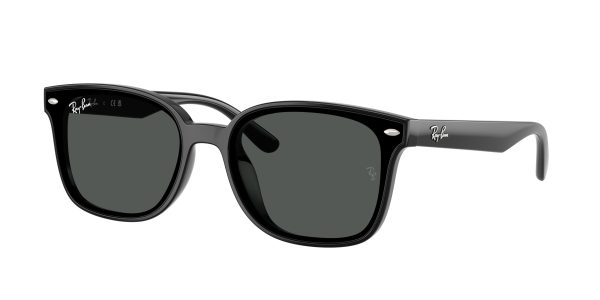 Ray-ban  RB4461D