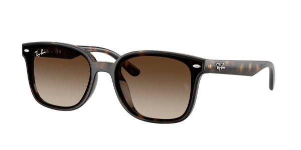 Ray-ban  RB4461D