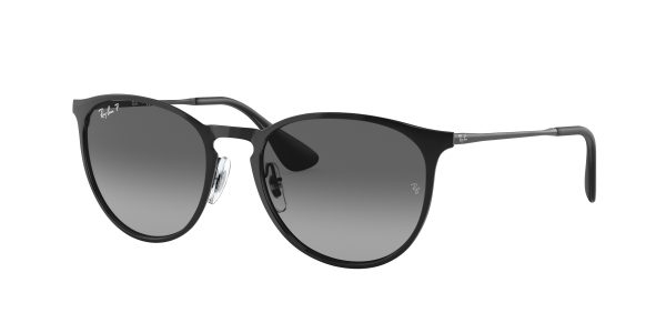 Ray-ban Erika Metal RB3539