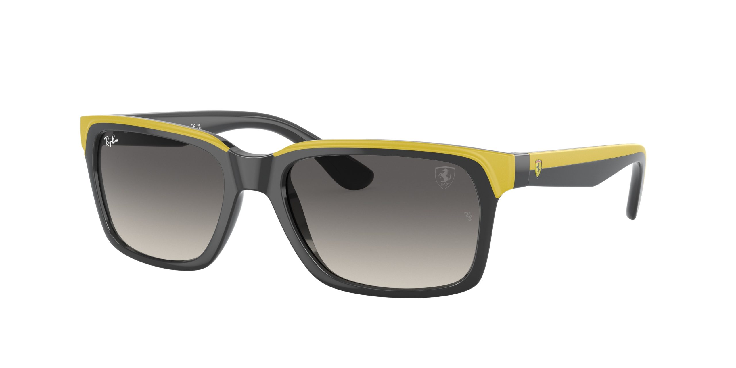Ray-ban  RB4393M