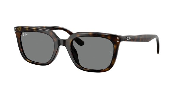 Ray-ban  RB4439D