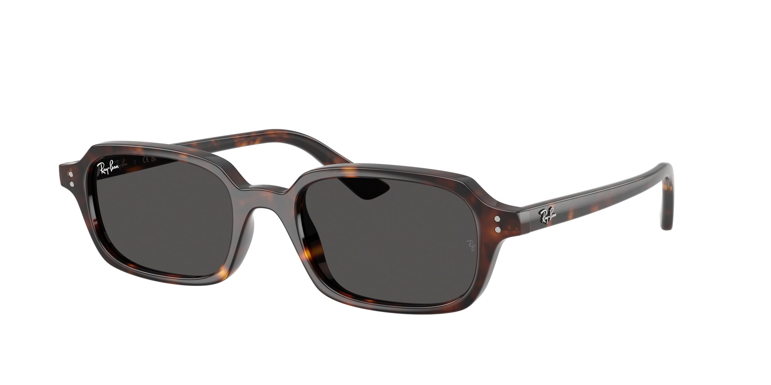 Ray-ban Zuri RB4455F