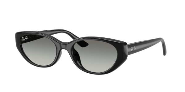 Ray-ban  RB4457D