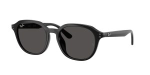 rayban_0rb4459d_901_87_black_ref