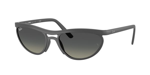 Ray-ban  RB4453
