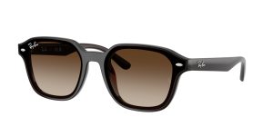 rayban_0rb4458d_714_13_transparent_dark_brown_ref