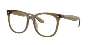 rayban_vista_0rx4379vd_8445_transparent_dark_green_ref