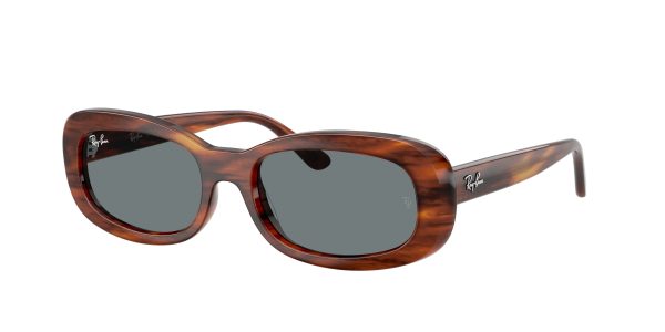 Ray-ban  RB2221F
