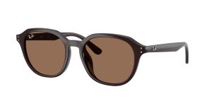 rayban_0rb4459d_623173_opal_brown_ref