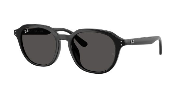 Ray-ban  RB4459D