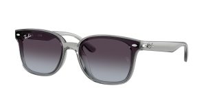 rayban_0rb4461d_64508g_transparent_grey_ref