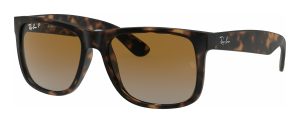 rayban_0rb4165_865_t5_havana_polarized_ref